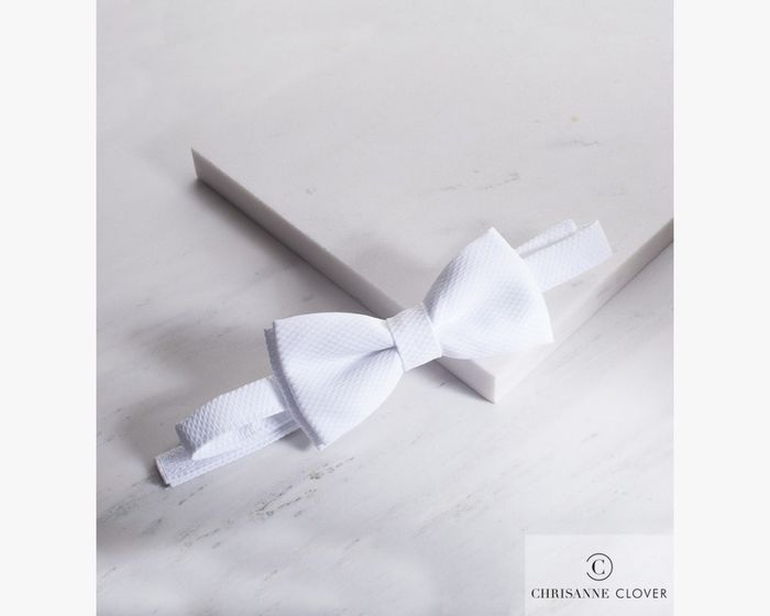 CHRISANNE: аксессуары  бабочка  [DESIGNER BOWTIE VELCRO] (белая) one size